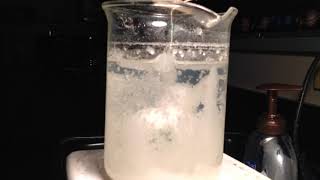 Borax crystal formation time lapse