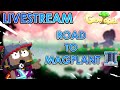 ROAD TO MAGPLANT | YOK NANEM SAMBIL CARI WORLD