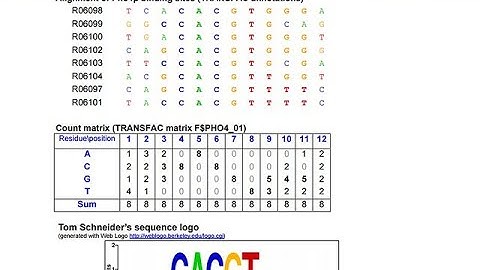 Profiles: Multiple Sequence Aligments