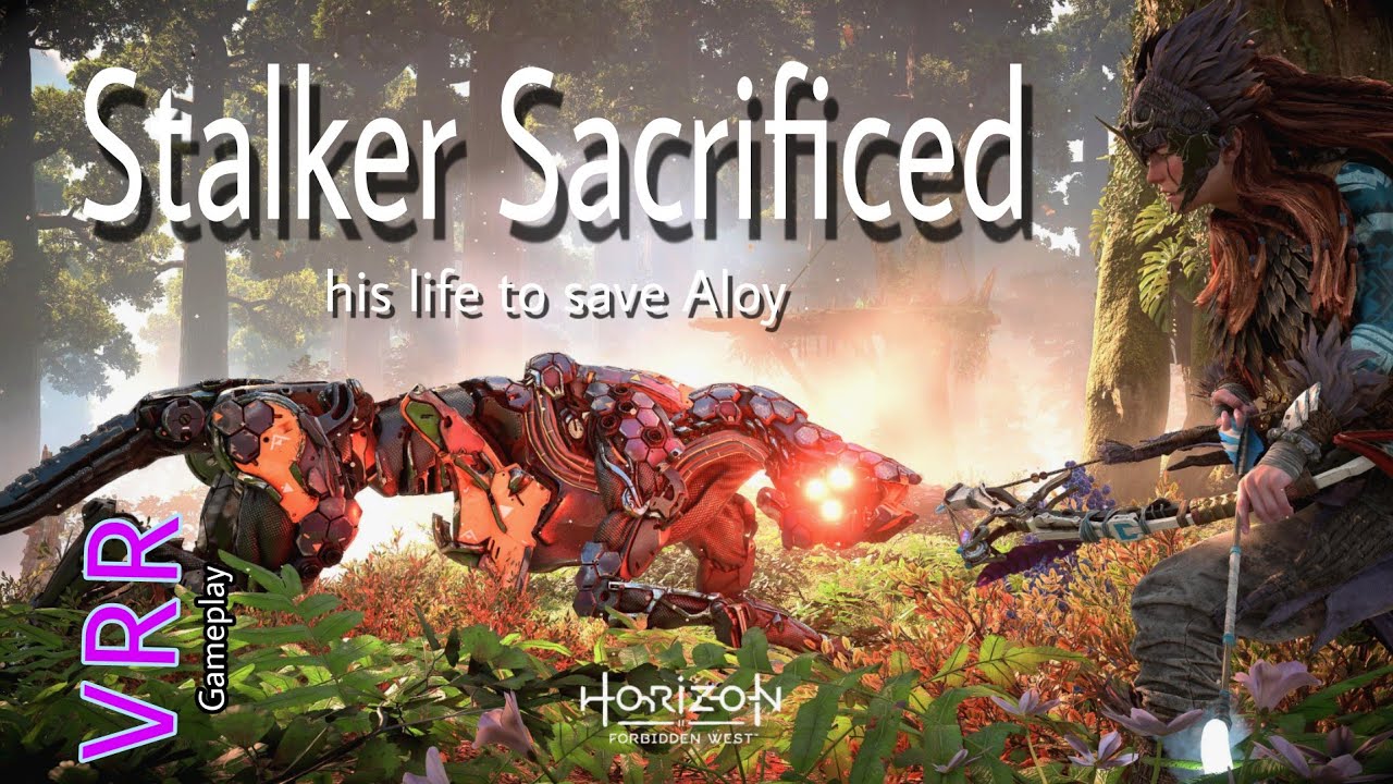 Horizon Forbidden West VRR Gameplay (1.17) - Stalker Sacrificed His Life To Save Aloy