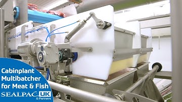 Big Batch Portioning for Meat, Fish and Poultry with the Cabinplant Multibatcher