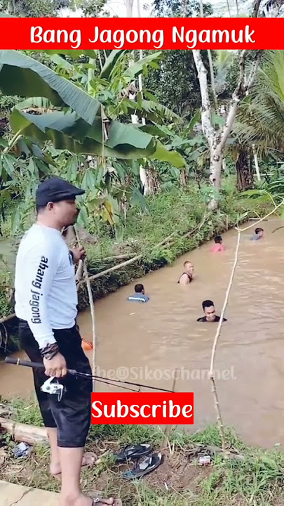 #shorts Lucu BANG JAGONG Ngamuk Balongna Di Ojayan @Sikos