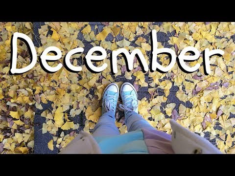 December Adventures //