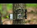 TOP 5 Best Trail Camera to Buy in 2020