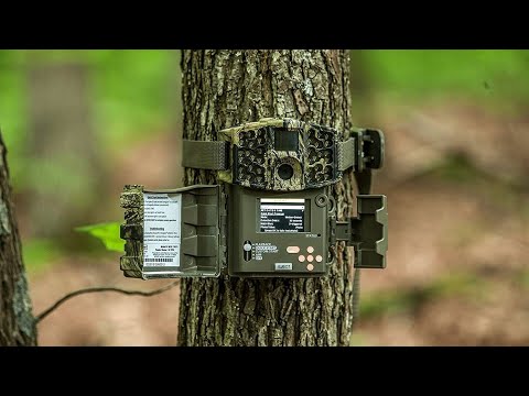TOP 5 Best Trail Camera to Buy in 2020