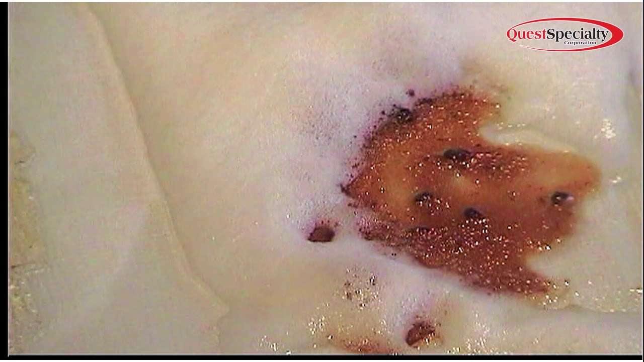 QS Nu View Concession Cleaner Demo