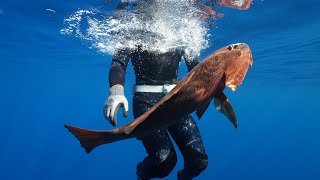 Spearfishing Costa Rica - W/ Rica Freedivers