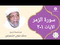 سورة الزمر الآيات 1 2 تفسير الشيخ الشعراوي قليل دائم خير