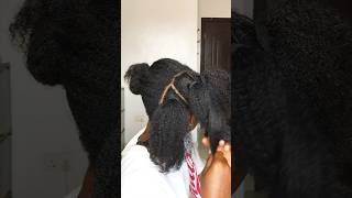 The Natural Hair Updo You Have Been Waiting For/No Need To Spend Lots Of Money Doing Your Hair