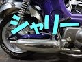 シャリー　CF50　後方から　ツチノコ　マフラー音　ホンダ　モンキー カブ 系エンジン シャリィ