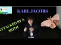 Karl Jacobs gets ATTACKED by a HUGE moth