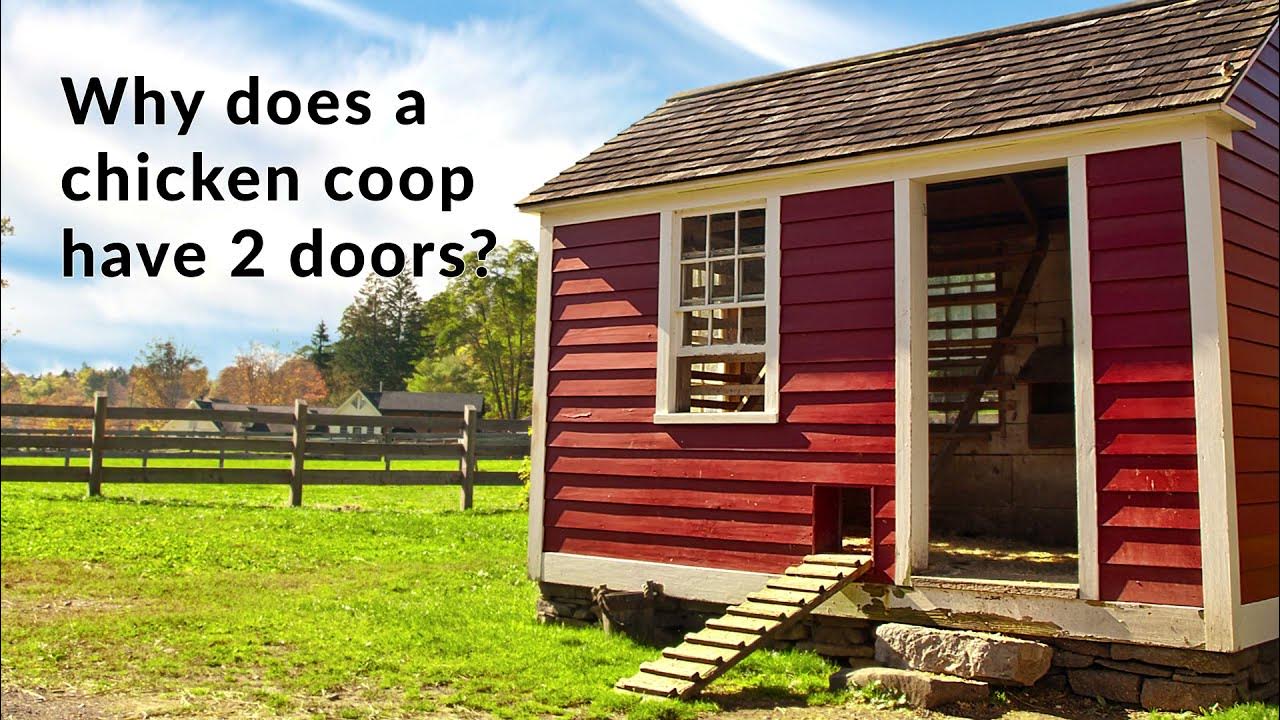 Why Does a Chicken Coop Have Two Doors? YouTube