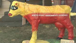 Butter Cow Concrete Art (Part 4) - Iowa State Fair 2011 image