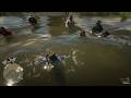 RDR2 Companion Glitch swimming