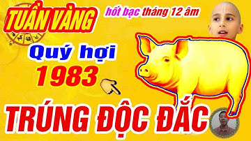 🔴Tuần vàng hốt bạc tháng 12 âm. tuổi quý hợi 1983 trời thương phật độ trúng số độc đắc cực giàu