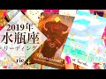 ♒️水瓶座♒️2019年年間リーディング♒️🏺✨