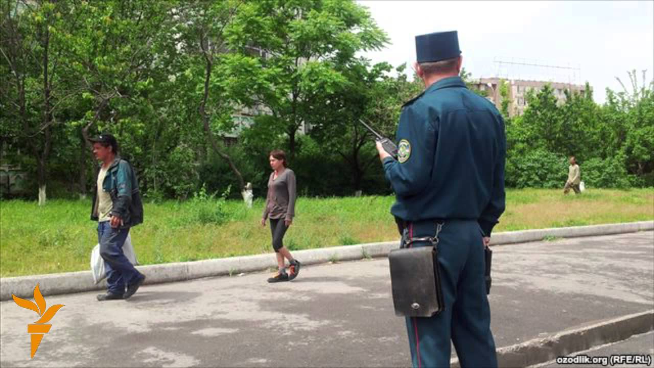 Жаримани текшириш авто Жаримани текшириш авто