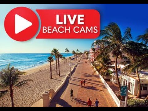 Live Beach Cam Hollywood Beach Broadwalk, Florida