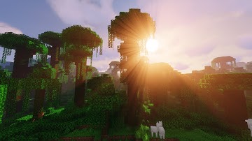 How to install Minecraft Shaders (1.16.4 Java)