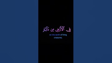سورة النحل | خالد الجليل | #quran #اكسبلور #لا_اله_الا_الله #خالد_الجليل #سورة_النحل #كرومات_القرآن