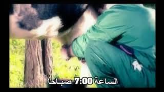 الف تحية لمحبين علي الديك