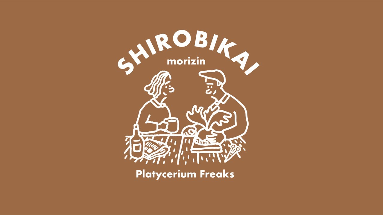 1週間おつかれ様LIVE | 白麋会Tシャツ再販について