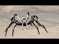 Download The Worlds Biggest Spiders The Worlds Biggest Spiders