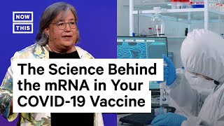 How mRNA Vaccines Could Change the World