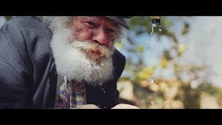 Nicolae Guta - Lacrimi de gheata - nou 2017