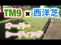 【芝生壊滅・TM9＋西洋芝】192日目　TM9にオーバーシーディング！僕の大好きなアレを表現できるかな？？