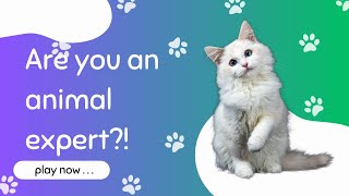Are you an animal expert?! Test your knowledge with this quiz..