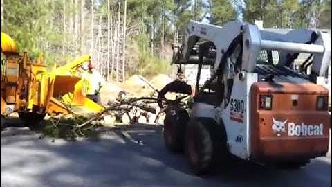 Bobcat bringing Pine tree top to wood chipper - Tree Removal Service in Raleigh, Wake Forest, NC