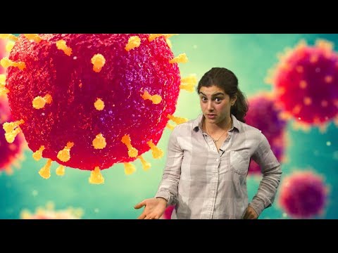 Sex Education for Middle School Video 3 - Sex, Contraception and STIs