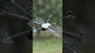 780292720 1792423873032843