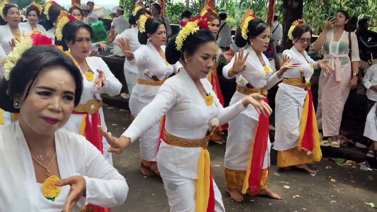 Rejang Tedung jagat PSR Tunjung Sari  ngayah di pura dalem puri