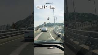 부산항대교 진입해  보셨나요?  #부산항대교