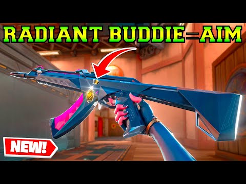 *New* RADIANT Buddie Gave Me +100 AiM Points - Valorant