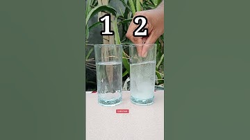 Amazing Ice Vs Salt Water Experiments। Easy Science Experiments At Home. #trending #experiments