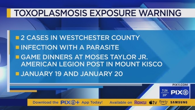 2 Cases Of Potentially Deadly Parasitic Infection Reported In Westchester Officials
