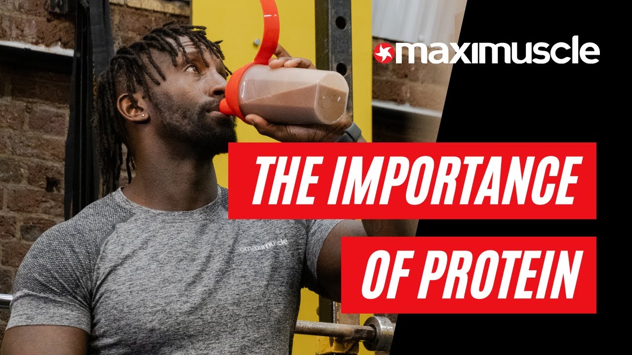 Why is Protein Important? | Maximuscle Nutrition