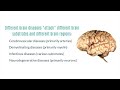 Neurodegenerative Diseases of the Brain