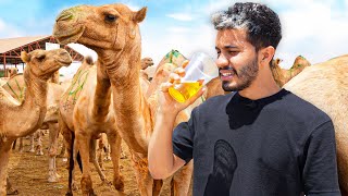 I drank CAMEL URINE 🐫 | Trying STREET FOOD in SOMALILAND (3/4)