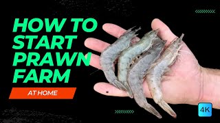 How To Start PRAWN FARMING At HOME For HIGH PROFIT | Shrimp Farming Guide - Things you need to know screenshot 5