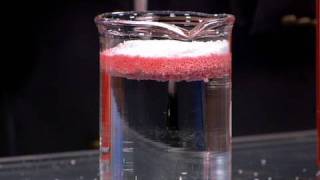 Oil Absorbing Polymer Net Worth