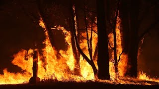 South Australia Battles Bushfire On Fleurieu Peninsula