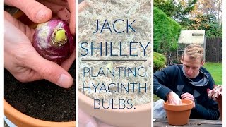 Planting Hyacinth Bulbs | Jack Shilley