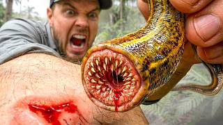 Tiger Leech Bite Test! ( For Science)