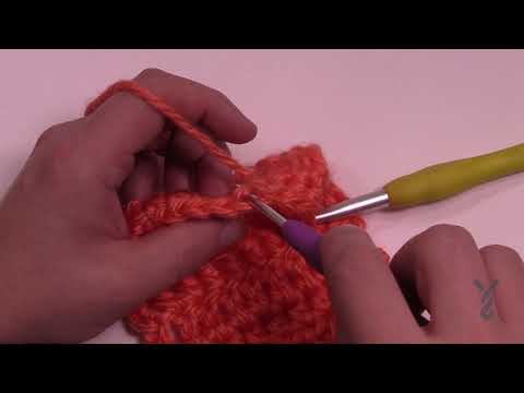 BEGINNER Crochet Half Double Crochet Back Loop - hdcbl