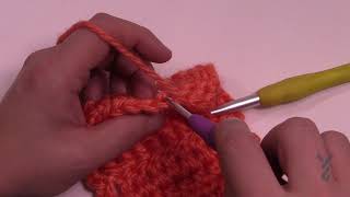 BEGINNER Crochet Half Double Crochet Back Loop - hdcbl