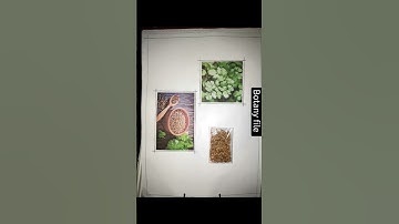 Botany Ecology File On Differnt Types of Spices Bsc III Year #shortvideo #bsc